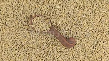 用黑麦在黑麦颗粒堆上旋转<strong>一个</strong>粘土<strong>勺子</strong>。 食物。